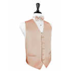 Venetian Wedding Prom Tuxedo Vest and Tie Set